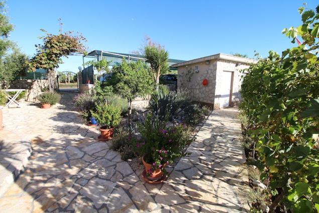 Apartments Helena Zadar 沃希 外观 照片